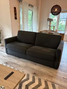 Structube Sofa Bed - $250