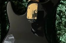 Ernie Ball Musicman Bass Guitar - Photo 10