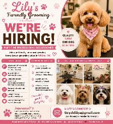 Part-Time/Full time  Professional Dog Groomer