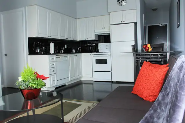 Beautiful Furnished 1-Brm in Downtown Toronto w/free Parking