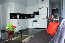 Beautiful Furnished 1-Brm in Downtown Toronto w/free Parking