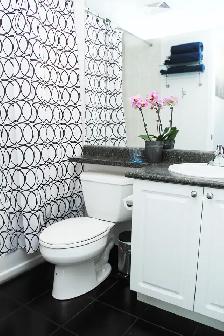 Beautiful Furnished 1-Brm in Downtown Toronto w/free Parking - Photo 3
