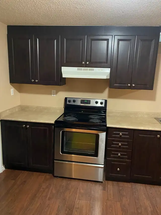 ONE BEDROOM BASEMENT APARTMENT - MISSISSAUGA