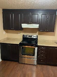 ONE BEDROOM BASEMENT APARTMENT - MISSISSAUGA