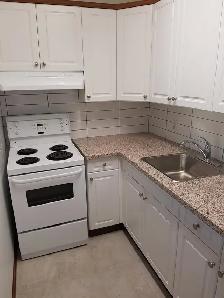1 Bedroom Apartment for Rent in Fort Richmond - Photo 6
