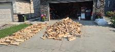 Birch Firewood Mammoth  Bags - Photo 5
