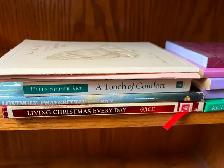 THE FRIENDSHIP BOOKS - Photo 5