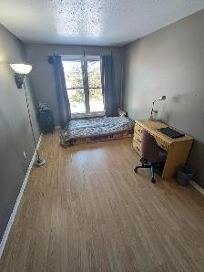 4 mins to Algonquin, Move in today! Woodroffe/Majestic,all inclu - Photo 5