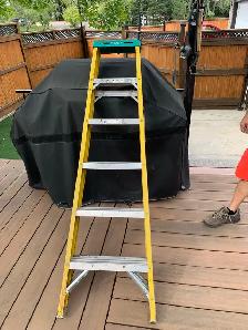 6 foot ladder