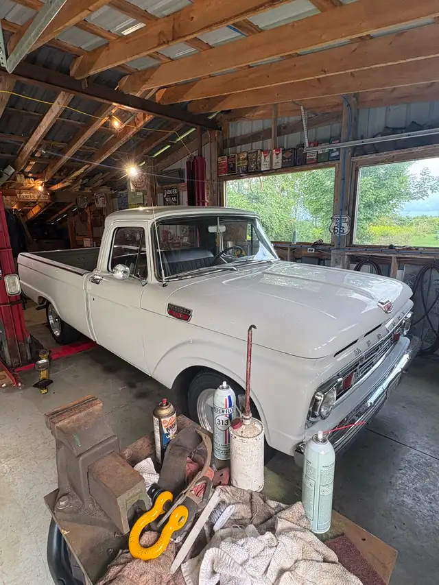 Mercury M100