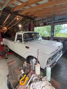 Mercury M100