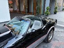 1978 Chevrolet Corvette Indy 500 Pace Car Edition - Photo 4