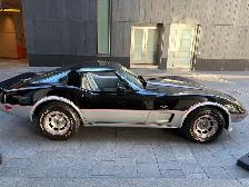 1978 Chevrolet Corvette Indy 500 Pace Car Edition - Photo 10