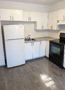 Apartment for rent in Notre-Dame-de-Grâce (NDG)! Available NOW! - Photo 6