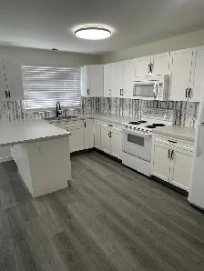 Renovated 3 Bedroom Duplex - Fenced Yard & Two Parking Stall - Photo 4