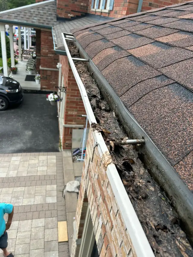 Roof Gutter Cleaning – Same Day Service