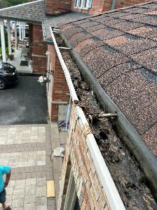 Roof Gutter Cleaning – Same Day Service