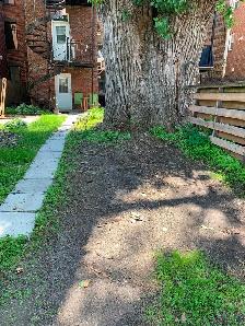 1St Floor 4 1/2 renovated with backyard/parking available - Photo 5