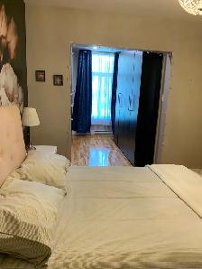 1St Floor 4 1/2 renovated with backyard/parking available - Photo 10