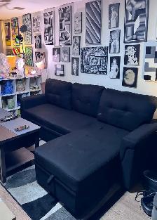 86' Upholstered Pull-Out Sofa Bed With Storage Chaise - Photo 5
