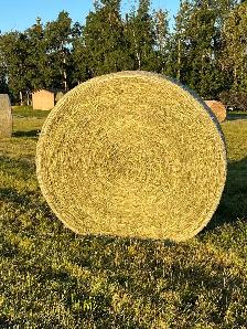 Round hay bales