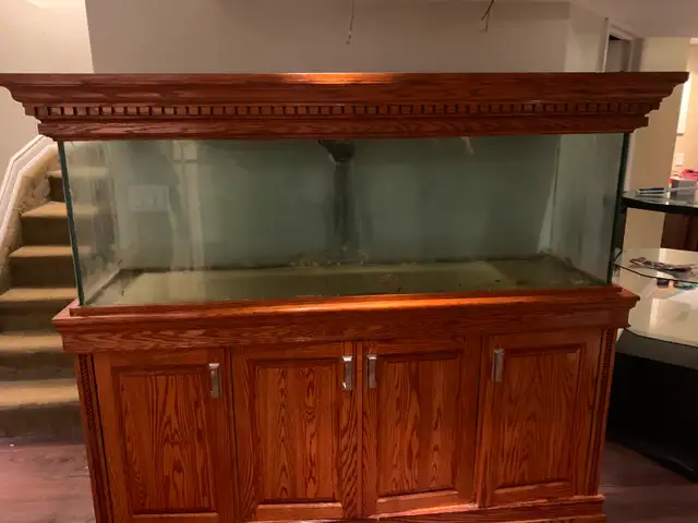 Large Aquarium with Wooden Stand and Sump