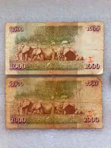 2,620 Shilling du Kenya - Photo 2