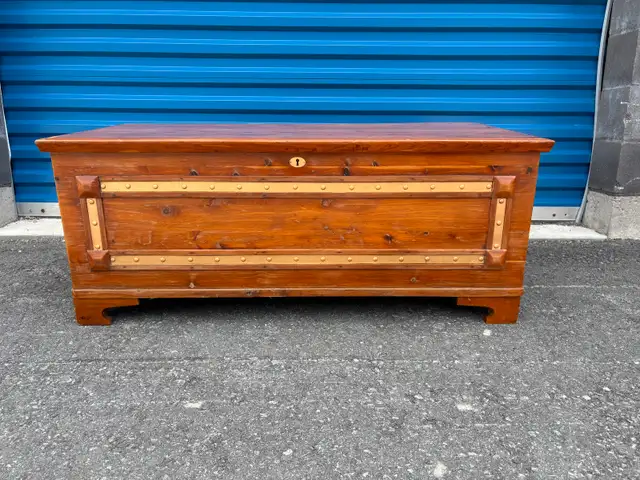 Stunning Solid Wood Trunk