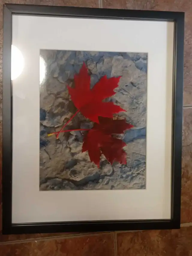 Maple Leaf Framed Wall Art