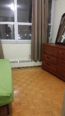 1 BRIGHT COZY ROOM for RENT in -(2 Bedrm Apartment) - Finch Ave - Photo 3