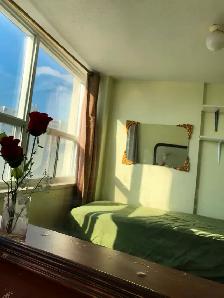 1 BRIGHT COZY ROOM for RENT in -(2 Bedrm Apartment) - Finch Ave - Photo 8