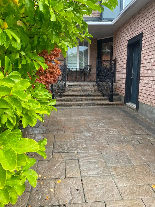 3-bedroom basement apartment NEWLY RENOVATEDLY