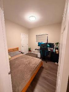 1 bedroom 1 bath  private suite on rent