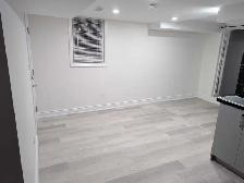 Studio Walk out Basement - Photo 6