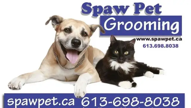 HOME BASED PROFESSIONAL DOG AND CAT GROOMER