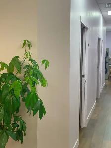 Kindly Hiring: Massage Therapists - Photo 3