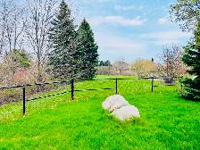 2 Bedroom Basement for Rent in Prime Location of Brampton