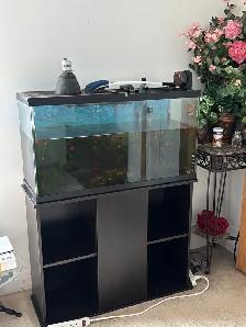 Aquarium with Stand and Fish !