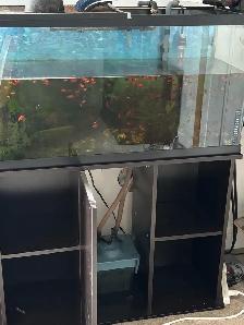 Aquarium with Stand and Fish ! - Photo 2