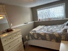 Very bright, ground level, one bedroom suite in quiet Ocean Park - Photo 2