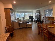 Very bright, ground level, one bedroom suite in quiet Ocean Park - Photo 4