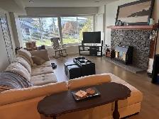 Very bright, ground level, one bedroom suite in quiet Ocean Park - Photo 5
