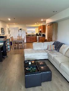 Very bright, ground level, one bedroom suite in quiet Ocean Park - Photo 7