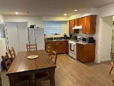 Very bright, ground level, one bedroom suite in quiet Ocean Park - Photo 8