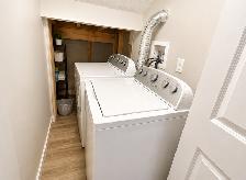 Walk-Out Basement for Rent – Available from September 18, 2026 - Photo 6