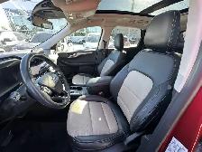2022 Ford Escape Titanium - Photo 10