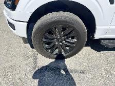 Ford F-150 XLT 2024 - Photo 11