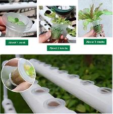 72 Sites Garden Hydroponic Plant System 141108 - Photo 10