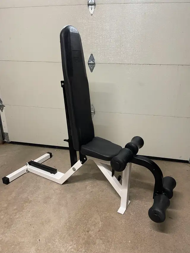 Multi Purpose Bench Northern Lights gym weights exercise