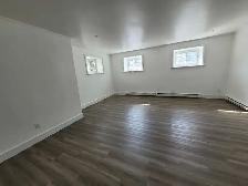 clean and bright 1 bedroom - Photo 5